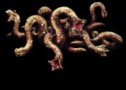 Resident Evil 3 - Sliding Worm