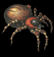 Resident Evil 2 - Araignées