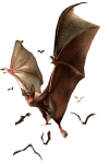 Resident Evil 0 – Chauve-Souris