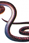 Resident Evil – Serpents